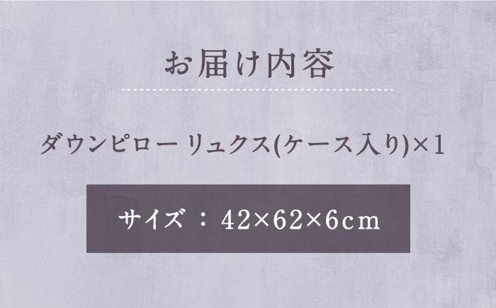 ダウンピロー リュクス 枕 羽毛 まくら ホワイトダウン70％ 無地 ホワイト《壱岐市》【富士新幸九州】 [JDH065] 48000 48000円