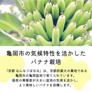 フローズンバナナ（皮なし）80g×6袋 『京都はんなりばなな』 《栽培期間中農薬不使用 京都 亀岡産 希少 おやつ スムージー アイス 小分け  フルーツ 果物 デザート 国産バナナ バナナ 朝食バナ