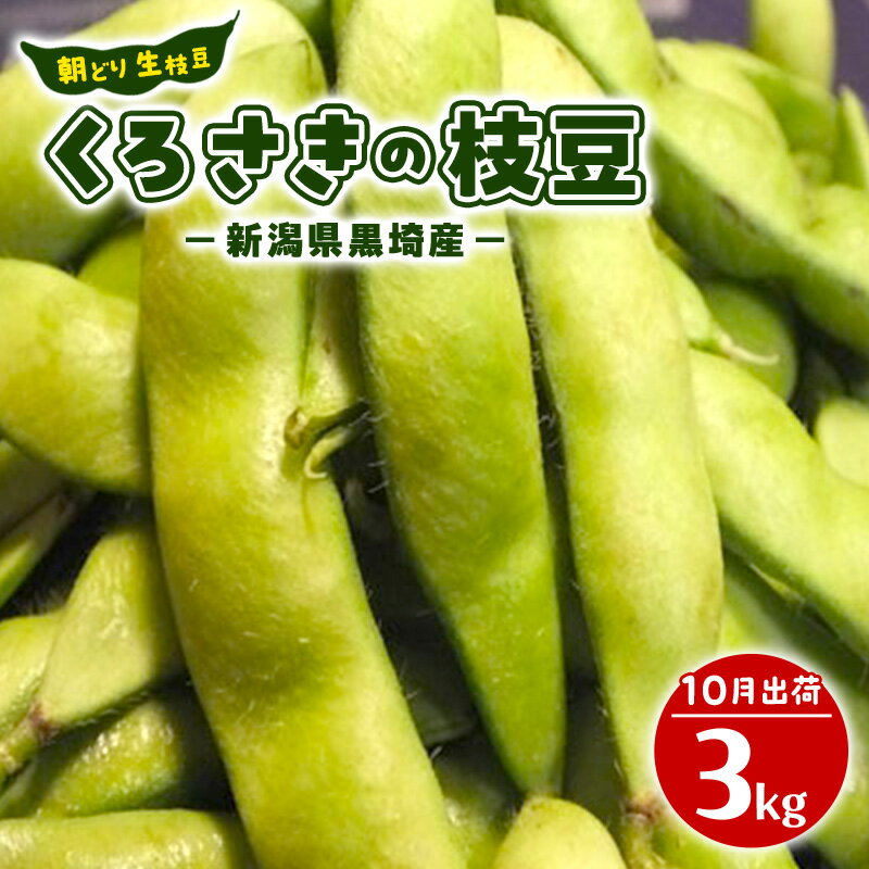 【ふるさと納税】朝どり 生枝豆 くろさきの枝豆 3kg 新潟県黒埼産 生 枝豆 えだまめ えだ豆 新潟　お届け：2026年9月下旬～10月下旬