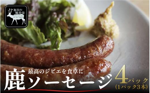 【徳島県三好市祖谷産】祖谷の地美栄 鹿肉 ソーセージ 3本 4パック 1本70g 希少 部位 ジビエ 地美栄 厳選 鹿 国産 ヘルシー 低カロリー 高たんぱく 低脂質 焼肉 BBQ バーベキュー ステーキ ハンバーグ 自家製 ソーセージ ロースト シカ シカ肉 唐揚げ カレー シチュー 使いやすい 小分け 冷凍 赤身 みよし 徳島 三好 祖谷