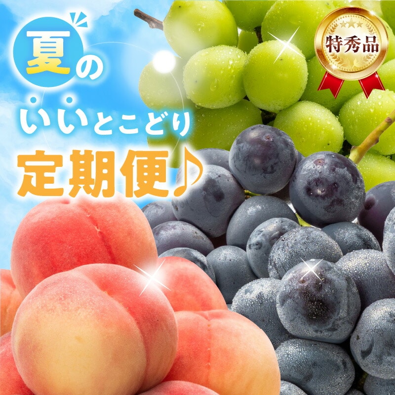【ふるさと納税】【特秀品!】夏のいいとこどり定期便♪