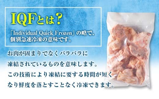 小分け 便利 カット済 若鶏 もも肉 計2.5kg 250g × 10袋 鶏肉 国産 おかず お弁当 おつまみ 食品 IQF冷凍 バラバラ凍結 チキン 簡単調理 から揚げ 唐揚げ 親子丼 チキンカレー