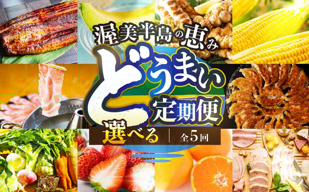 
            渥美半島の恵み どうまい 定期便 全5回 選べるコース 肉 海鮮 野菜 フルーツ 果物 （ 野菜 セット いちご 餃子 焼き鳥 うなぎ とうもろこし みかん メロン 豚肉 ハム ソーセージ ) 青うなぎ 名古屋コーチン マスクメロン ご当地 人気 頒布会
          