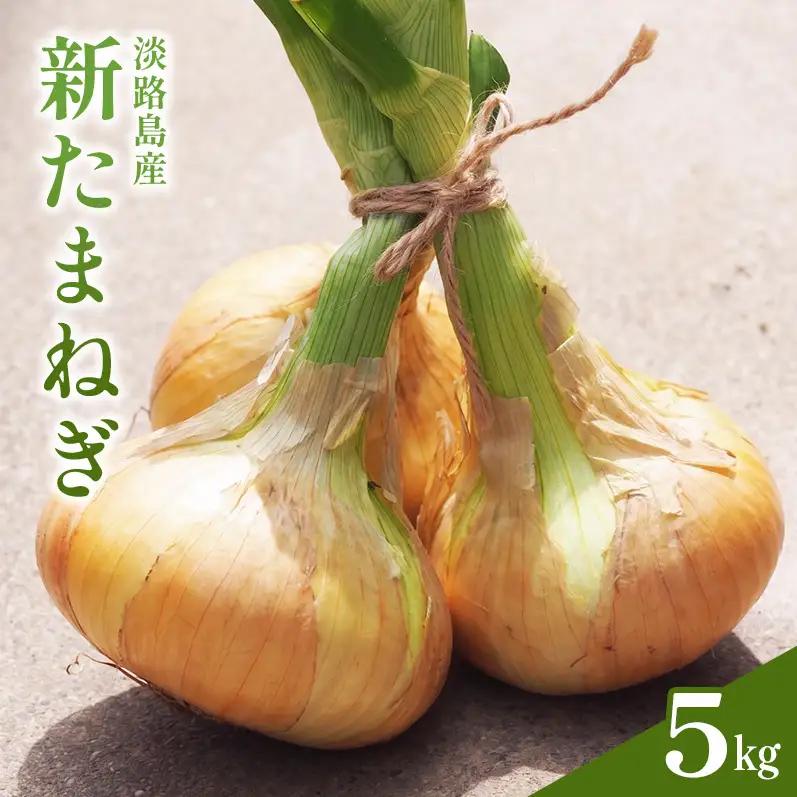 新玉ねぎ 淡路島産 5kg 甘い みずみずしい 新玉ねぎ