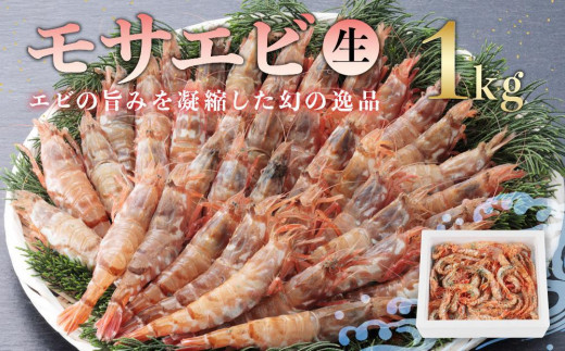 【先行予約】幻の逸品 モサエビ(生） 1kg　※北海道、沖縄、一部離島への配送不可