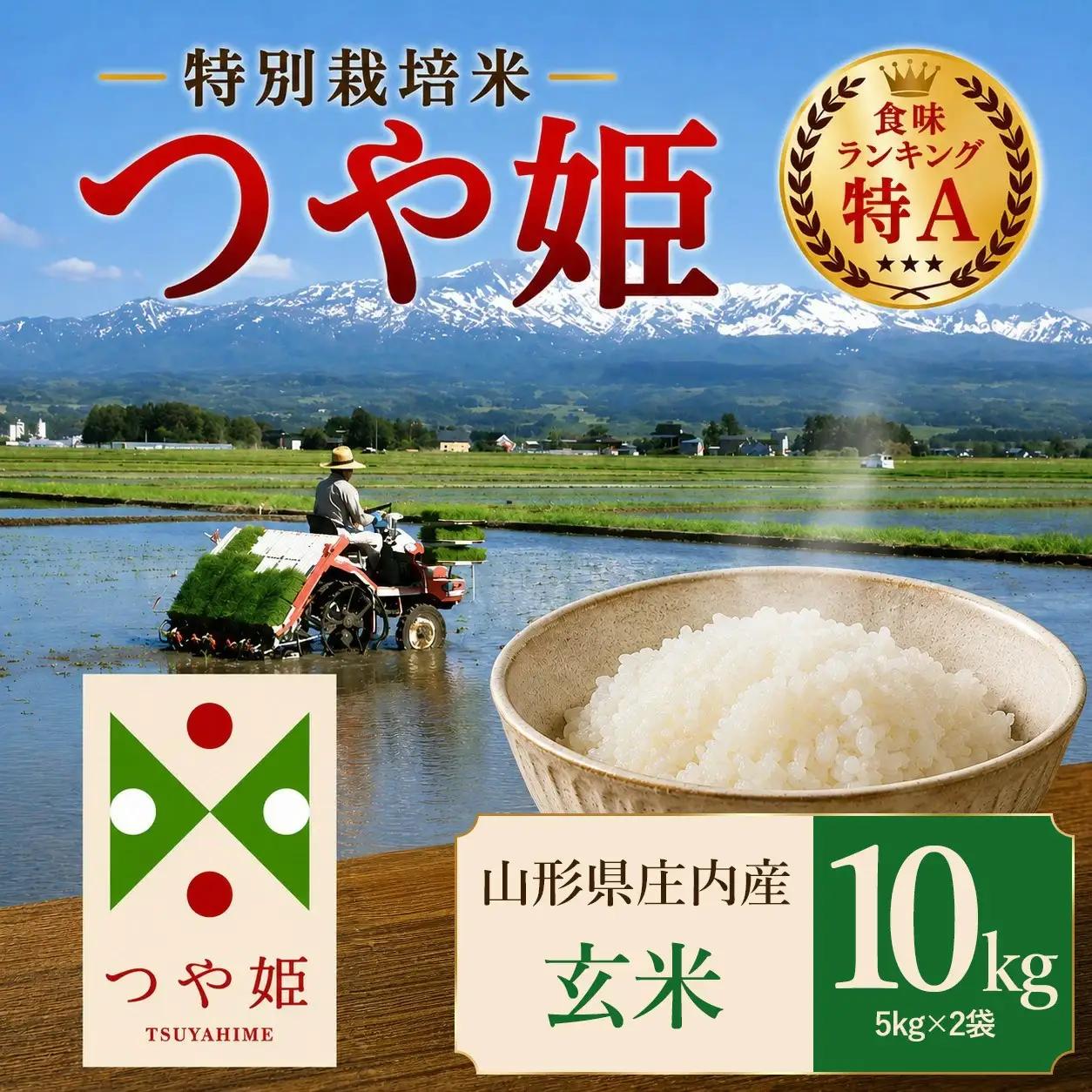 【令和7年産】 特別栽培米 つや姫 玄米 10kg（5kg×2袋）　山形県 庄内産 　| つやひめ 10キロ 米 お米 コメ 食品 ご飯 ごはん 美味しい おいしい ブランド米 エコ包装 おすすめ 人気 山形県 鶴岡市 東北 国産 お取り寄せ SDGs未来都市鶴岡 返礼品