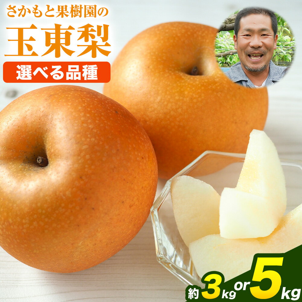 さかもと果樹園の玉東梨 選べる 約3kg (3玉-10玉前後) 約5kg (6玉-18玉前後) 【日付指定・品種指定不可】《旬の梨：8月中旬-9月末頃出荷/ 秋麗：8月中旬-8月下旬頃出荷/ 甘太：9月中旬-9月下旬頃出荷》