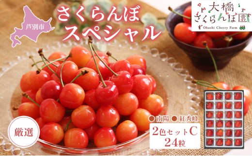 
                  【 先行受付 】さくらんぼ 厳選 さくらんぼ スペシャル 2色 セット C 24粒（赤・赤） 南陽 紅秀峰 フルーツ 果物 季節のフルーツ 旬 旬のフルーツ 夏 化粧箱 ギフト 贈り物 贈答 プレゼント 冷蔵 冷蔵配送 北海道 芦別市
                
