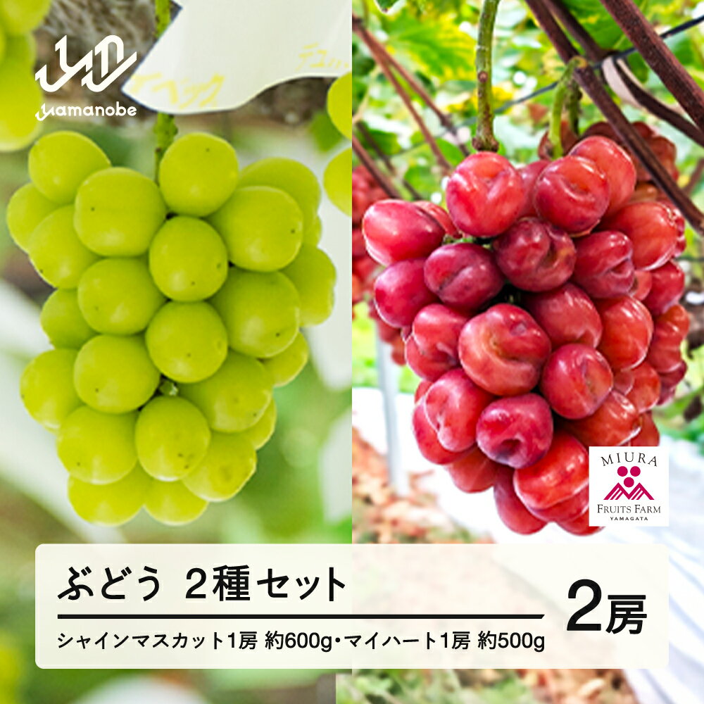 【ふるさと納税】 《先行予約》2026年 山形県山辺町産 マイハートと特選シャインマスカットセット 2026年10月上旬から順次発送 送料無料 F21A-241