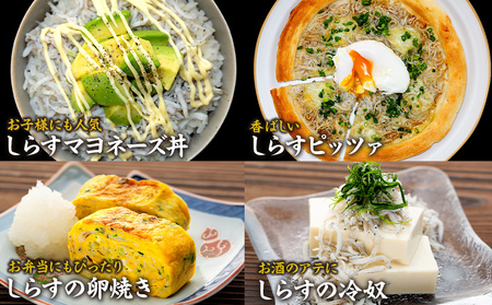 【しらす干し】訳ありしらす 2kg 美味しいシラス