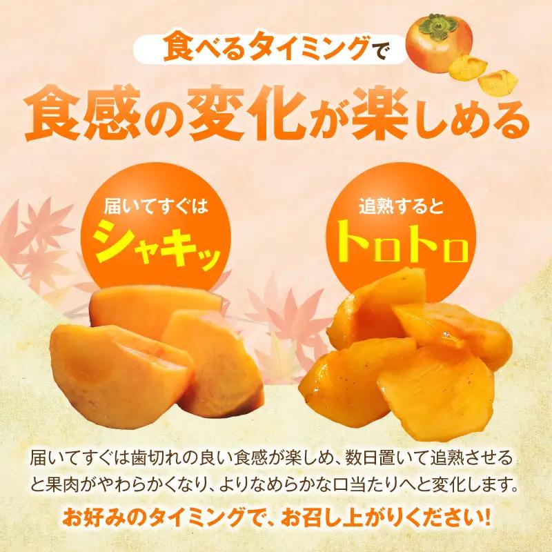【先行受付】 訳あり 富有柿 3kg こねり柿園自慢の富有柿 _KNR0708
