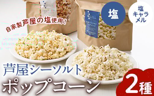 パルセイユ 芦屋シーソルト ポップコーン (2種) 塩味 キャラメル味 しお 芦屋塩 お菓子 おやつ おつまみ 駄菓子 コメヌカオイル うまか芦屋塩 常温保存 常温【パルセイユ】as04-001