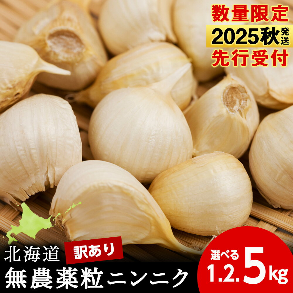 【ふるさと納税】【数量限定】訳あり無農薬粒ニンニク 選べる1kg～5kg 1袋500g バラ 粒 無農薬 にんにくガーリック北海道ふるさと納税 積丹町 ふるさと納税 北海道 野菜 にんにく 北海道産 大蒜