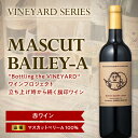 【ふるさと納税】 【南陽ワインプロジェクト】MASCUT BAILEY-A 750ml 赤ワイン 山形県 南陽市 [1298]