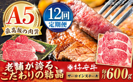 【12回定期便】サーロインステーキ 600g /ステーキ 牛肉ステーキ サーロインステーキ 和牛ステーキ 和牛サーロイン 牛肉 / 最高級A5等級 黒毛和牛 柿安牛 / 亀山市 / 柿安本店 [AMBW026]