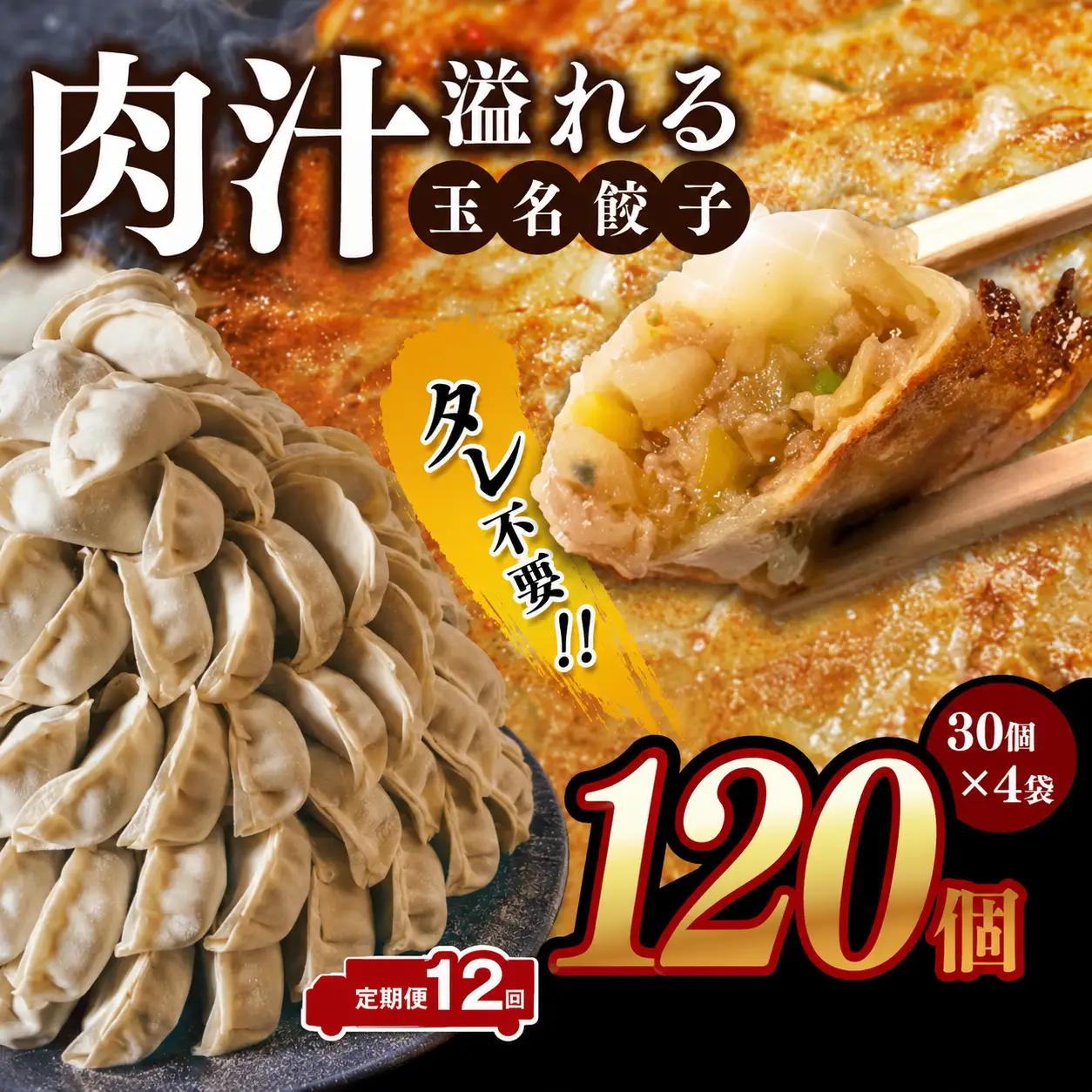 【 定期便 12回 】玉名餃子 120個 （30個×4袋）