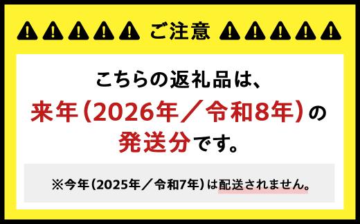 【先行予約2026年/令和8年発送分】種なしピオーネ1房　約500g