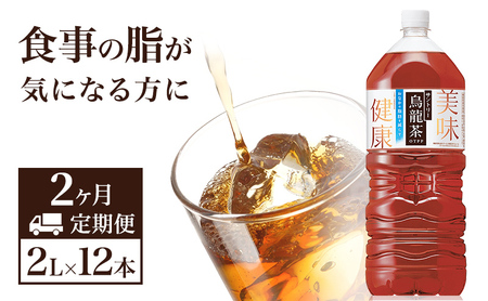烏龍茶 定期便 2ヶ月 サントリー烏龍茶 OTPP 2L 12本 (6本×2箱) セット 詰め合わせ 機能性表示食品 お茶 サントリーウーロン茶 サントリー ペットボトル 中国茶 茶 脂肪を減らす 健康茶 健康 飲み物 ドリンク 飲料 神奈川 神奈川県 綾瀬市 定期 2回