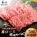 【ふるさと納税】【6回定期便】くまもと黒毛和牛 焼肉用 肩ロース 500g（250g×2pc）【馬刺しの郷 民守】[ZBL092]