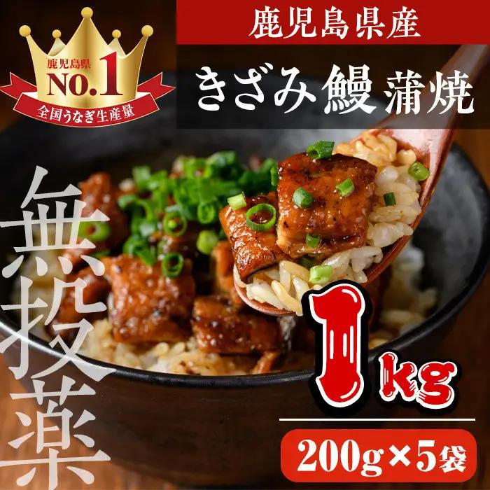 うなぎ 無投薬 鹿児島県産 きざみ (200g×5袋) うなぎ【西日本養鰻】B176