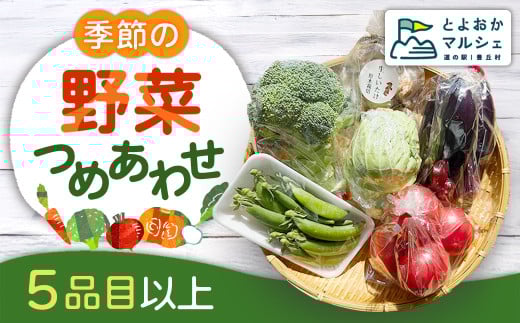 【5品目以上】季節の野菜詰め合わせ