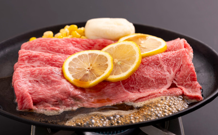 長崎和牛とあご出汁レモンステーキソースのセット(L)