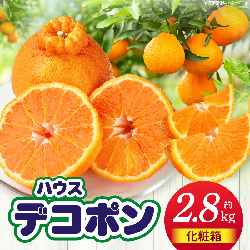 【ふるさと納税】【先行予約】ハウスデコポン　約2.8kg デコポン 甘い 酸味 柑橘 柑橘系 果物 フルーツ 青果 デザート グルメ おすすめ 贈答 贈り物 贈答用 ギフト プレゼント 特産品 特産 取り寄せ 香川県 三木町