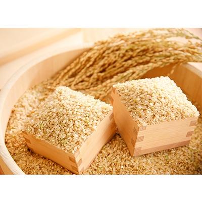 ふるさと納税 近江八幡市 【令和8年産】冷めても美味しいあっさりとした味わい「みずかがみ」玄米10kg |  | 01