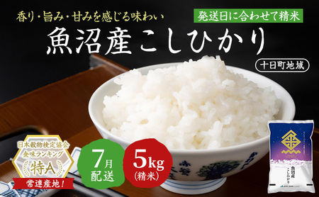 【令和7年産米】魚沼産こしひかり(十日町地域)5kg 7月配送 お米 精米 こめ ご飯 白米  旧：五郎兵衛