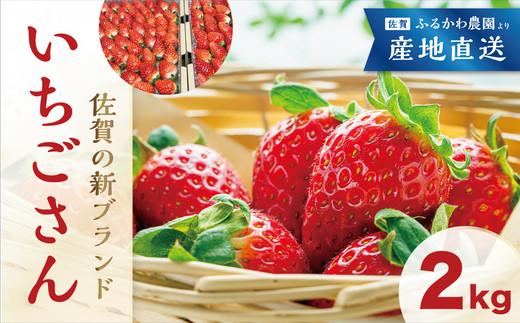 
【ふるかわ農園】いちごさん 2kg
