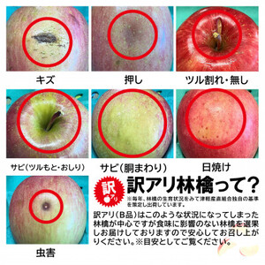 【令和7年1月下旬頃発送】産地直送 青森県産 訳ありサンふじ10キロ箱 26～46玉 青森県産りんご【配送不可地域：離島・沖縄県】【1288124】