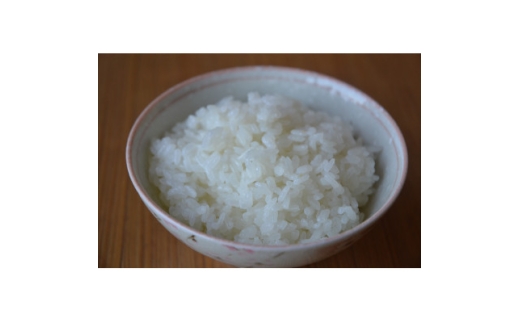 令和8年産ミルキークイーン 多湖農園の『はじめの一穂』5kg 精米【1777426】