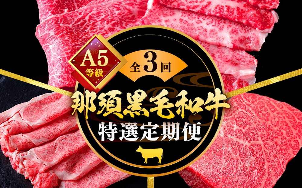 
                  《定期便3回》A5等級 那須黒毛和牛 特選定期便 ステーキ 焼肉セット〔G-28〕| 牛肉 国産 赤身 那須和牛 黒毛和牛 那須黒毛和牛 とちぎ和牛 栃木和牛 ブランド牛 A5 すき焼き しゃぶしゃぶ 焼肉 ステーキ 夜ご飯 夜ごはん 晩ご飯 晩ごはん お取り寄せグルメ お中元 御中元 お歳暮 贈答 贈り物 ギフト プレゼント 母の日 父の日 敬老の日 記念日 誕生日 お祝い 定期便 鶏春 栃木県
                