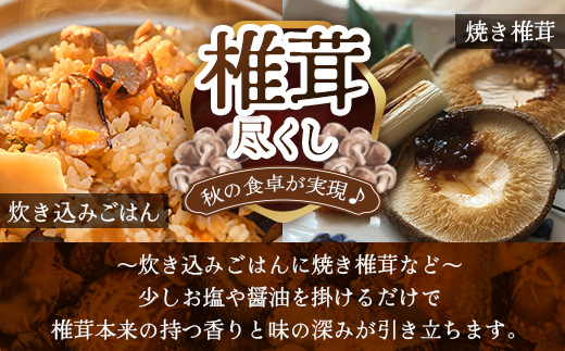 【世界初CoC認証取得！】宮崎県諸塚村産 乾しいたけ どんこ 80g×3P 計240g 常温｜干ししいたけ 椎茸 冬菇 肉厚 お煮しめ お鍋 網焼き 原木栽培 CoC認証 高級 家庭用 チャック付 も