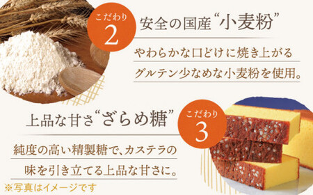 【全6回定期便】「こだわりの逸品」長崎 カステラ [1.2号] 計12本（0.6号10切入×2本入/回）【文明堂総本店】[QAU021]