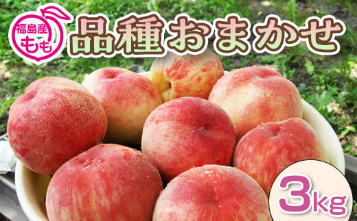 阿部農縁　福島県の桃　農家直送の完熟もも　品種おまかせ3kg(8～12玉)　ギフト・贈答用 F7X-0138