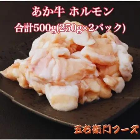 あか牛 白ホルモン 500g 250g×2パック(益城町)【配送不可地域：離島】【1447329】