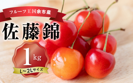 さくらんぼの王様 佐藤錦 500g×2パック 合計1kg(L~2L) 【2025年発送先行予約】 余市 北海道 フルーツ王国 さくらんぼ サクランボ 桜桃 佐藤錦 余市産さくらんぼ  小分けさくらんぼ  人気さくらんぼ ニトリ _Y074-0112