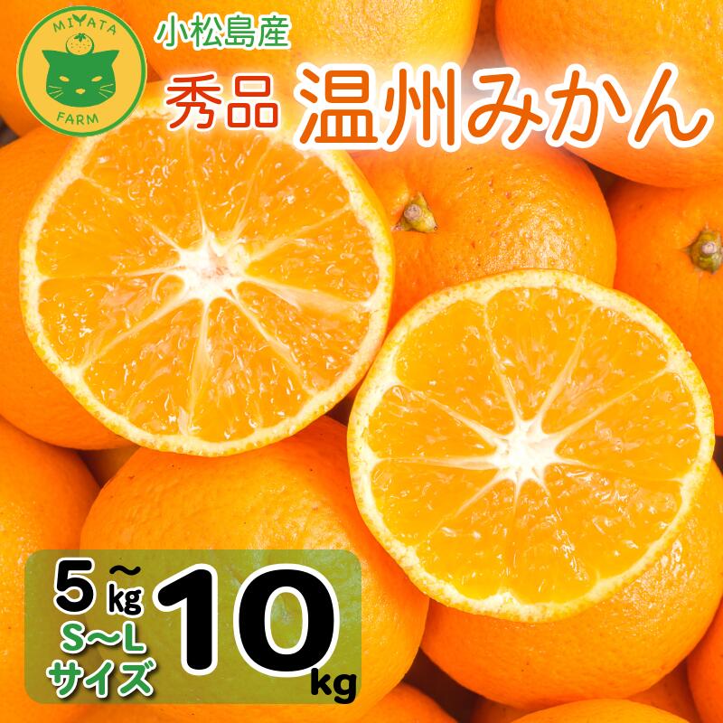 【ふるさと納税】 【2025年11月順次発送】 みかん 秀品 温州みかん5kg/10kg 早生みかん ミカン 蜜柑 甘い フルーツ 柑橘 ジュース 小松島市 5kg オススメ 人気 ふるさと納税 5kg 10kg