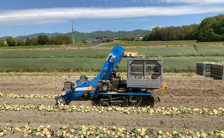 淡路島産玉ねぎ3kg 兵庫県 洲本市 淡路島
