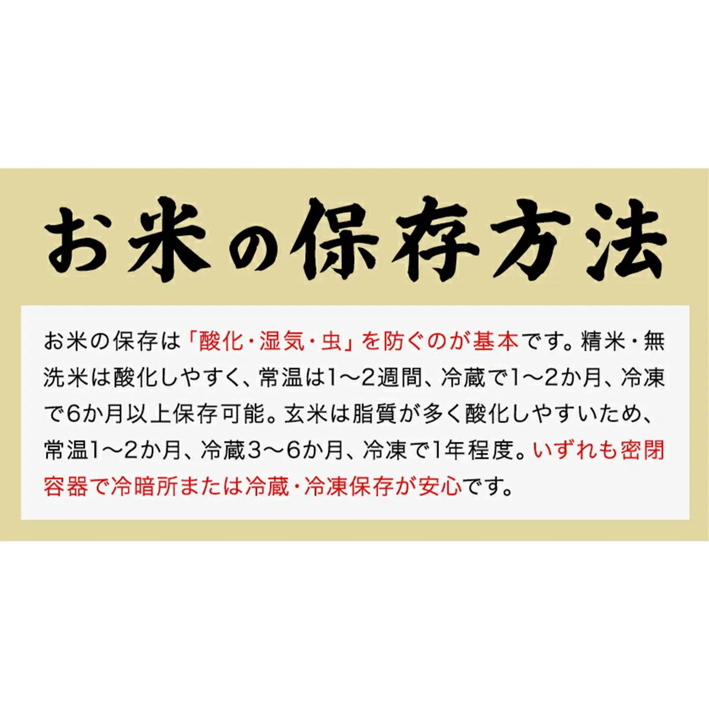 【3ヶ月定期便】令和7年産 菊池市七城町産 田代家の七城米 七城ヒノヒカリ 七分づき 10kg 田代こめや《お申し込み月の翌月から出荷開始》熊本県 菊池市 米 お米 精米 ひのひかり 菊池市産 熊本県