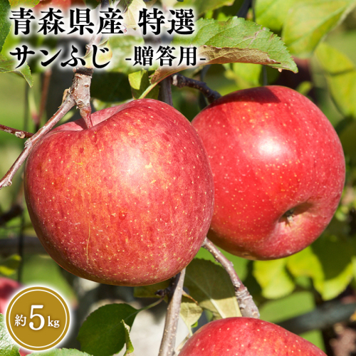 ４月発送　特選　甚八りんごサンふじ5kg　【マルジンサンアップル　４月　青森県産　平川市　りんご　サンふじ　5kg　特選　贈答用】