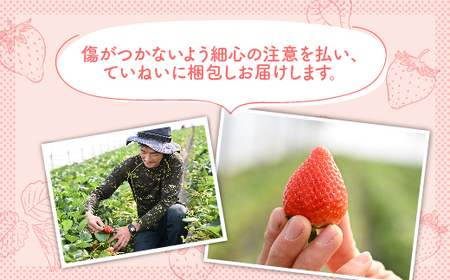 いちご厳選！さくら市産 とちあいか・スカイベリー食べ比べセット（290g×4パック）【先行予約 数量限定 栃木県 果物 くだもの フルーツ 苺 イチゴ 】 ※着日指定不可 ※2024年1月中旬～3月下