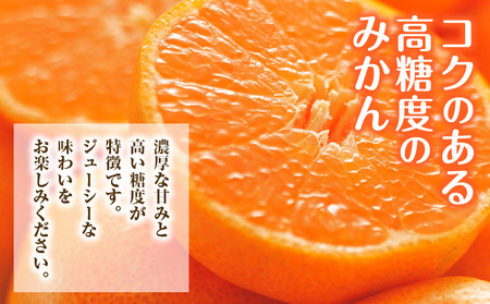 みかん 約10kg (2S-2Lサイズ) 金峰柑橘組合株式会社 ミカン 柑橘 フルーツ 旬 熊本県 玉名郡 玉東町 《10月中旬-1月中旬頃出荷》贈り物 果物 くだもの