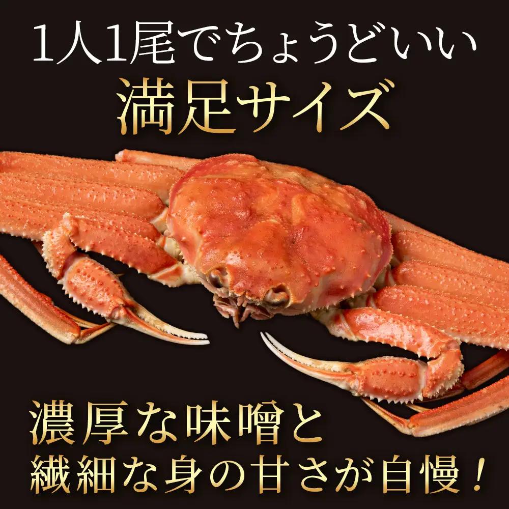 北海道産 オオズワイガニ 300g～350g ×4尾 ＜斉藤水産＞ AM115