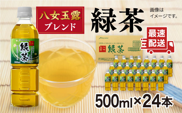 緑茶 ペットボトル 500ml × 24本