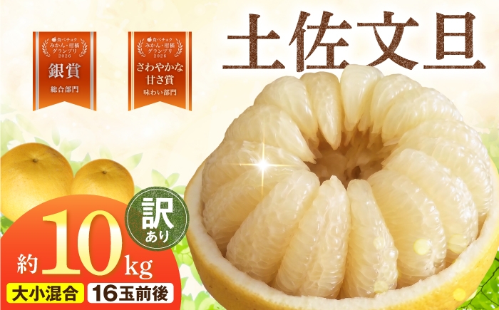 
                  【先行予約】本場、高知県土佐市産！土佐水谷農園の露地土佐文旦 家庭用10キロ 10kg 大小混合（L～上限なし：16玉前後）〈2027年1月20日～発送〉 文旦 ぶんたん 土佐 柑橘 高知県産 フルーツ お取り寄せ 訳あり 先行予約 高知県 土佐市【土佐水谷農園】[BQBD004]
                