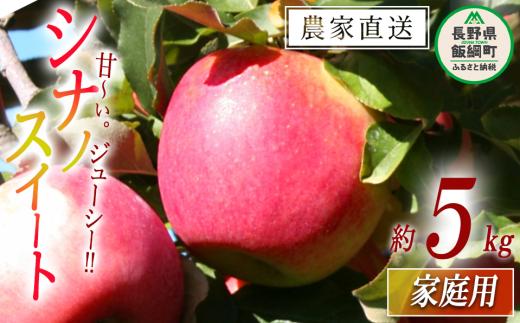 りんご シナノスイート 家庭用 5kg 関農園 沖縄県への配送不可 2025年10月上旬頃から2025年10月下旬頃まで順次発送予定 エコファーマー認定 令和7年度収穫分 信州 果物 フルーツ リンゴ 林檎 長野 12500円 予約 農家直送 長野県 飯綱町 [1090]