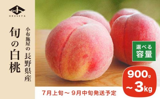 
            旬の白桃 約900g 約2kg 約3kg 選べる内容量 ［小布施屋］ 長野県産 白桃 もも モモ フルーツ 果物 期間限定 数量限定 長野県産 信州産 クール便 冷蔵便 たまき なつき あかつき 川中島白鳳 川中島白桃など 先行予約 2026 令和8年産 【2026年7月上旬～9月中旬発送】
          