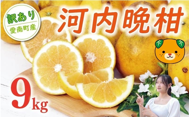 
                  【 数量限定 】 先行予約 訳あり 河内晩柑 樹齢 20年以上 9kg （ Lサイズ 以上 ） 9000円 みかん mikan 蜜柑 ミカン わけあり かわちばんかん 愛南ゴールド あいなん ゴールド 文旦 派生 和製 グレープフルーツ 家庭用 産地直送 国産 農家直送 期間限定 特産品 ゼリー ジュース 人気 限定 甘い フルーツ 果物 柑橘 規格外 くらもとファーム 愛南町 愛媛県 ミカン
                